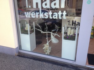 IMG_3251