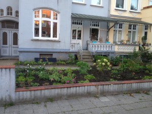 IMG_1240