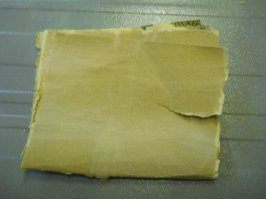 DSCN0441