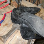 DSCN0486