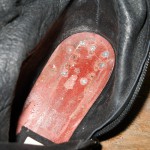 DSCN0488