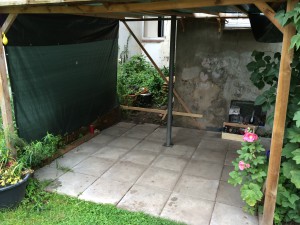 IMG_0393