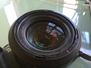IMG_3604