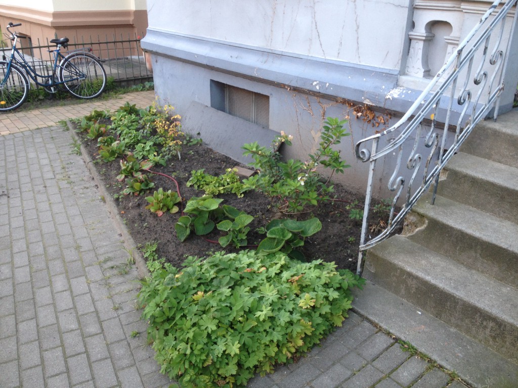 umgestalten Der Kellerwerker